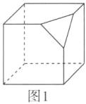 图1