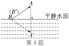 第8题