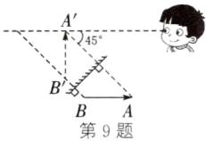 第9题