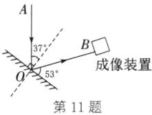 第11题