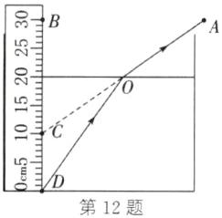 第12题