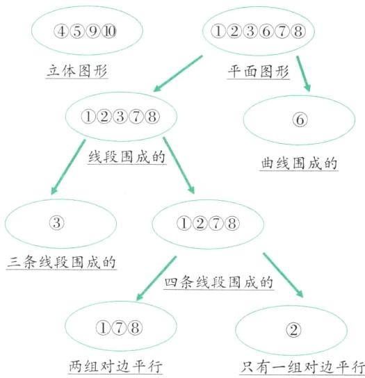 两组对边平行只有一组对边平行