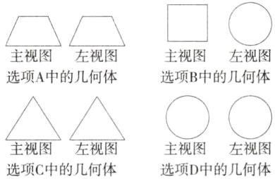 主视图左视图主视图左视图选项C中的几何体选项D中的几何体