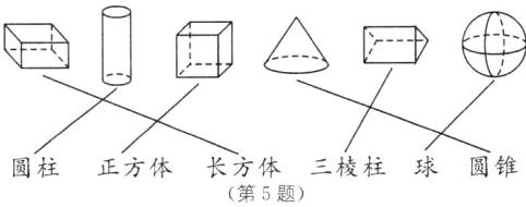 圆柱正方体长方体三棱柱球圆锥第5题