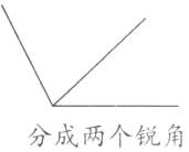 分成两个锐角