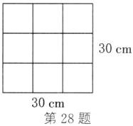 30cm第28题