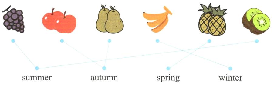 springwinterautumnsummer