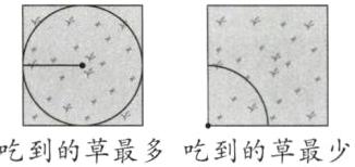 吃到的草最多吃到的草最少