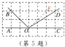 第5题