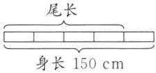 身长150cm