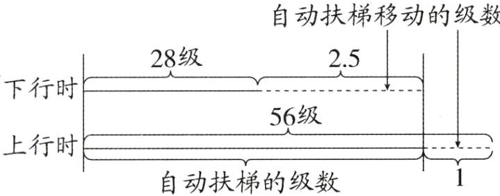 自动扶梯的级数