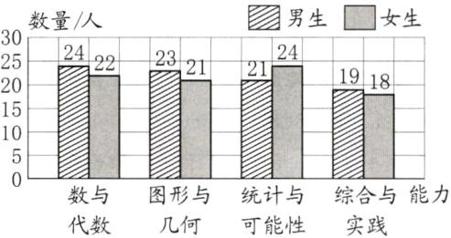 图形与统计与综合与能力数与代数可能性实践几何