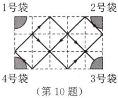 4号袋3号袋第10题