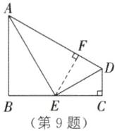 第9题