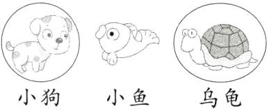 乌龟小鱼小狗