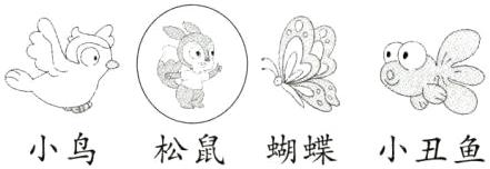 小鸟松鼠蝴蝶小丑鱼