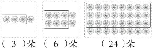 3朵6朵24朵