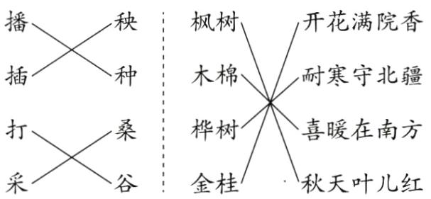 金桂秋天叶儿红