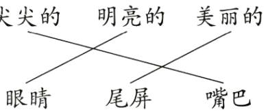 眼睛尾屏嘴巴