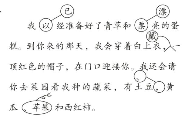 瓜苹果和西红柿