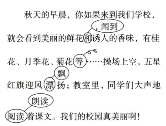 阅读着课文我们的校园真美丽啊