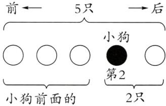 第22只小狗前面的