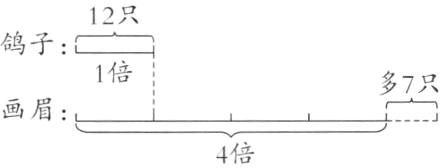 画眉4倍