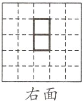右面