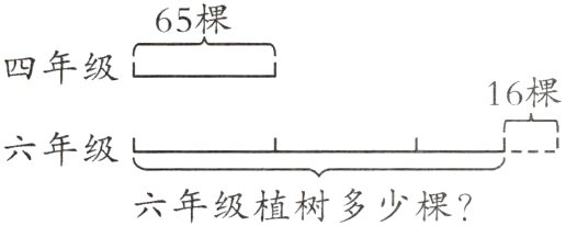 六年级植树多少棵