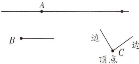 顶点