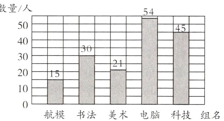 航模书法美术电脑科技组名