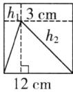 12cm