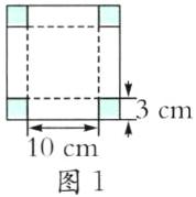 10cm图1