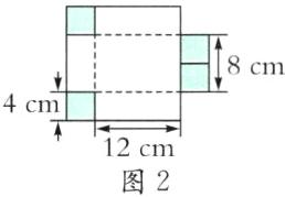 12cm图2