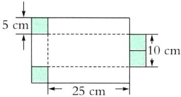25cm