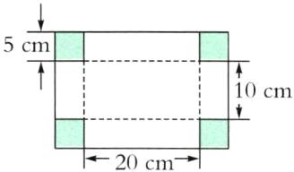 20cm