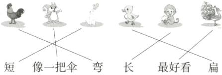 短像一把伞弯长最好看扁