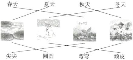 尖尖圆圆弯弯顽皮