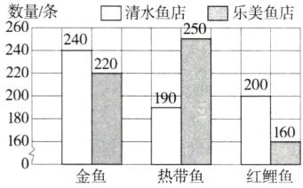 160160金鱼热带鱼红鲤鱼