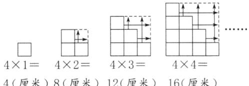 414243444厘米8厘米12厘米16厘米
