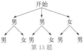 女男女男第13题