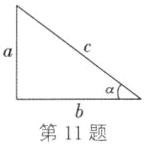 第11题