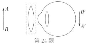 第24题