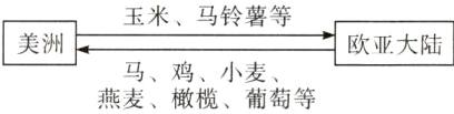 美洲欧亚大陆马鸡小麦燕麦橄榄葡萄玉米马铃薯等