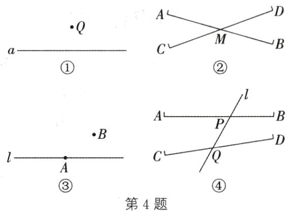 第4题