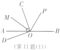 第11题1