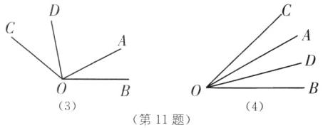 43第11题