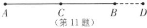 第11题