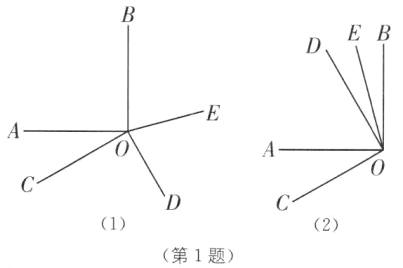 12第1题
