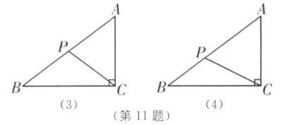 圮c43第11题